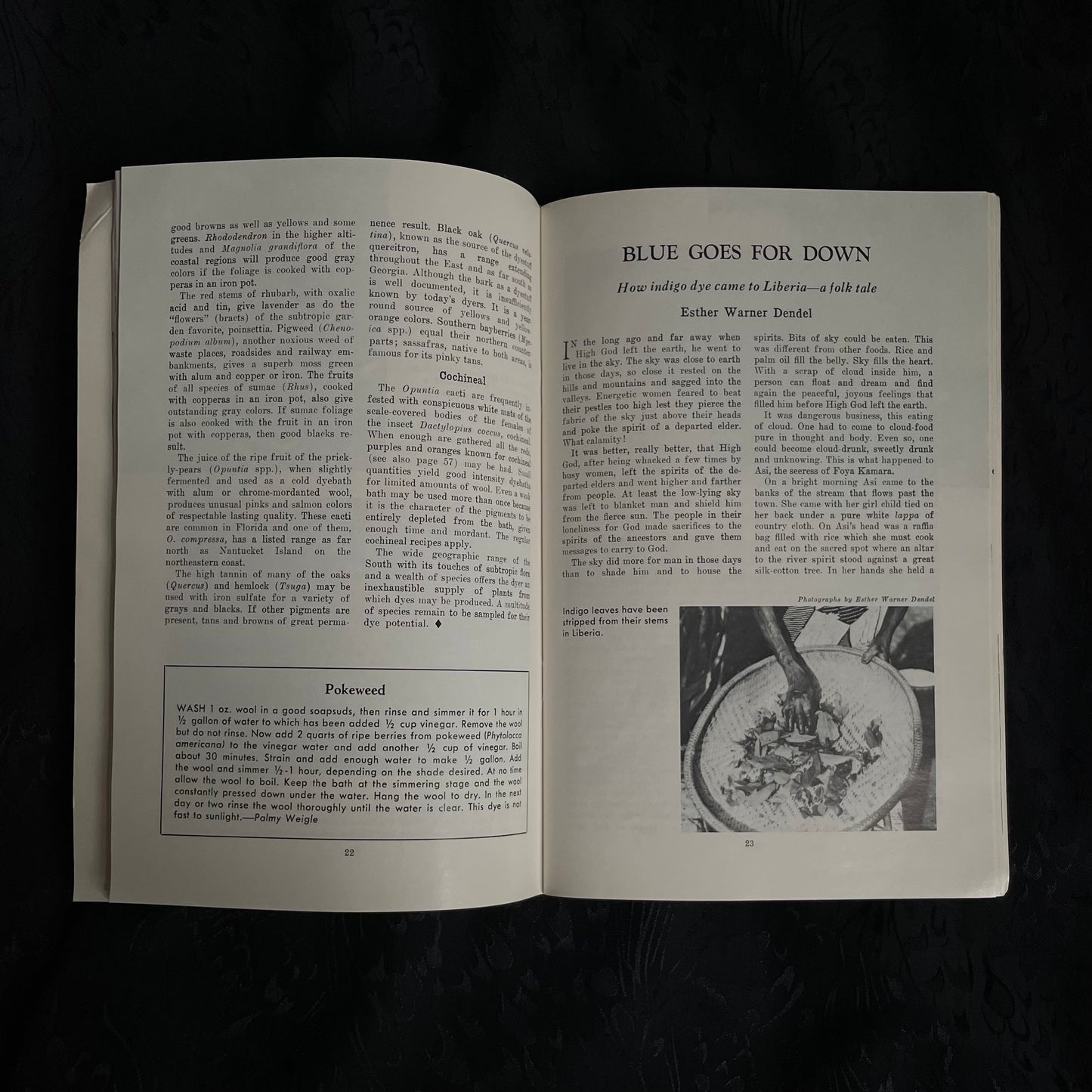 Natural Plant Dyeing Brooklyn Botanic Garden Handbook 1973